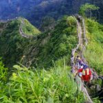 油桐花季夢幻登場　新北推土城三大賞花點