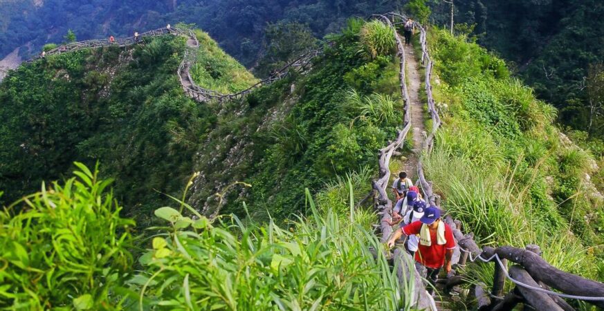 台中加入「自然城市平台」　城市治理接軌國際融入保育新思維