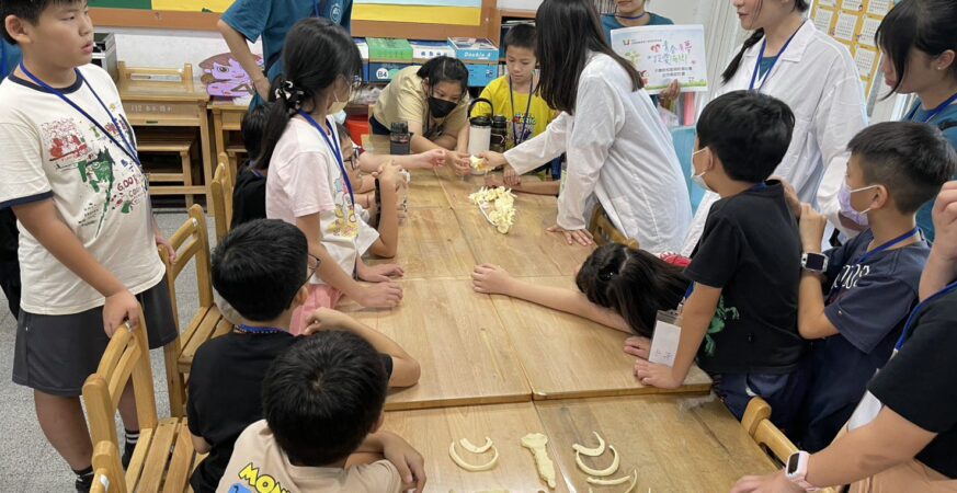 馬偕小小醫生上課囉　解剖摸骨學童們超興奮