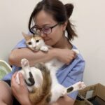 嘉基引進微脈衝青光眼雷射　雲嘉首創安全低副作用新療法