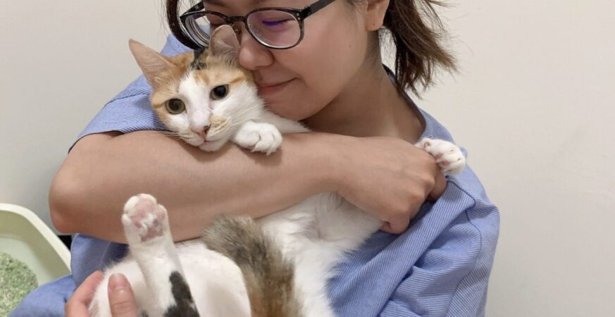 久坐，是身體失衡的溫水煮青蛙  /  寵貓物理治療師-云菁；告訴你怎麼活起來