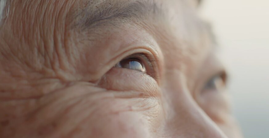 台灣邁向超高齡社會　黃斑部病變成熟齡族常見 醫界呼籲重視視力保健