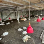 借將臺大！高雄市立民生醫院新任院長王振源今宣誓上任　三方向領航升級發展